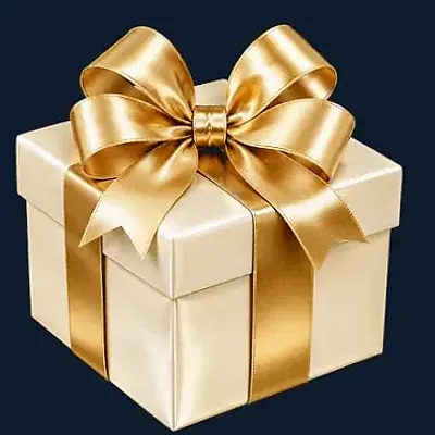 Ribboned gift box — CuntSpin