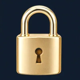 Metal padlock — CuntSpin