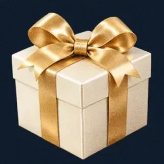 Wrapped gift box — CuntSpin