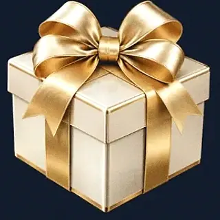 Gift box — CuntSpin