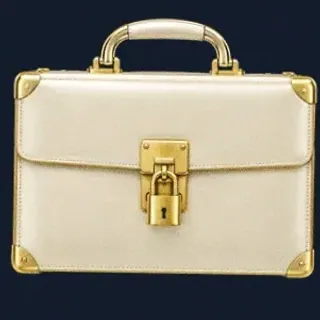 Locked leather briefcase — CuntSpin